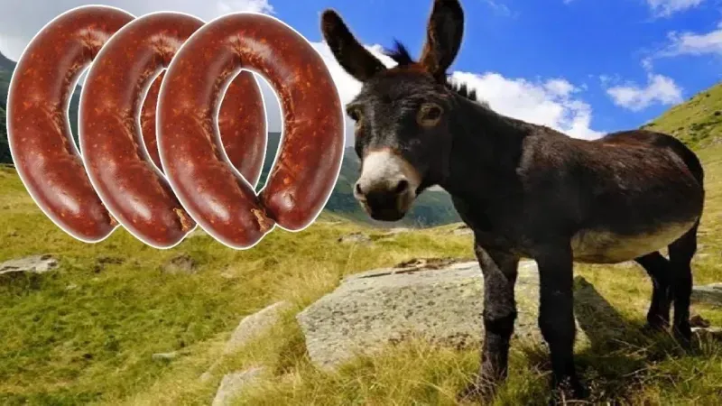 Gaziemir’de skandalı: Sucuğun içinden at eti çıktı!